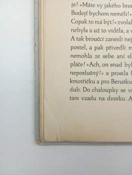 Jan Karafiát: Broučci
