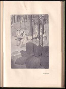 Jan Karafiát: Broučci