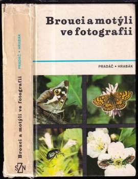 Brouci a motýli ve fotografii
