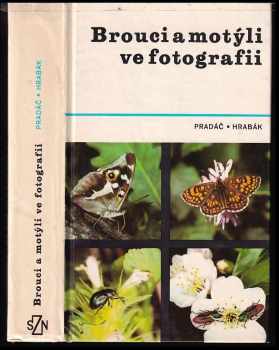 Brouci a motýli ve fotografii