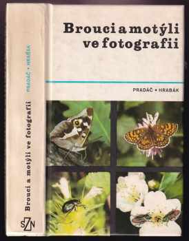 📗 Brouci a motýli ve fotografii | Jiří Pradáč 1982