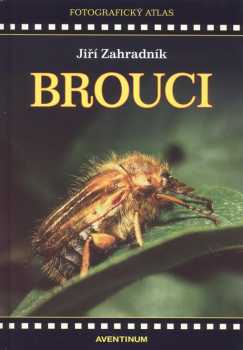 Brouci