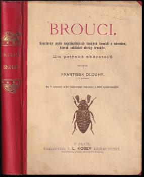 Brouci