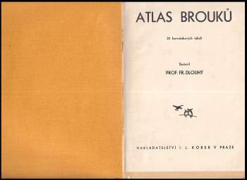 František Dlouhý: Brouci