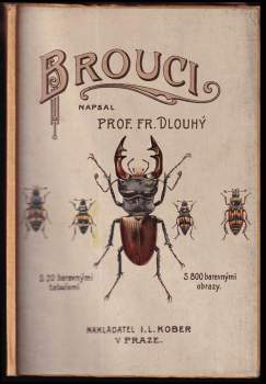 Brouci