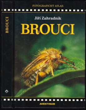 Brouci