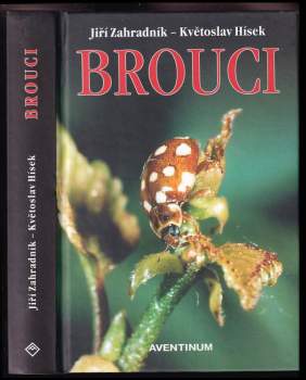 Brouci