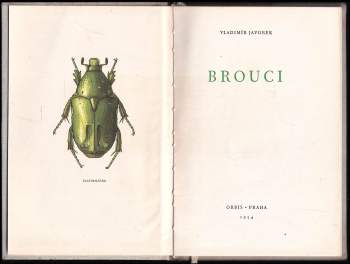 Vladimír Javorek: Brouci