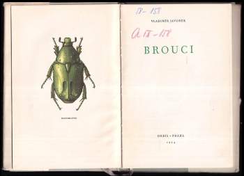 Vladimír Javorek: Brouci