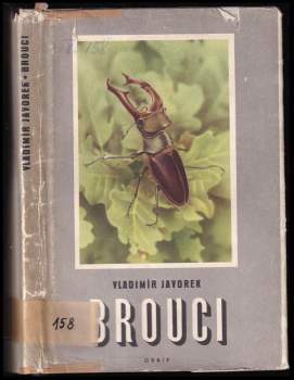 Vladimír Javorek: Brouci