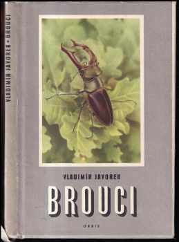 Brouci