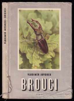 Brouci