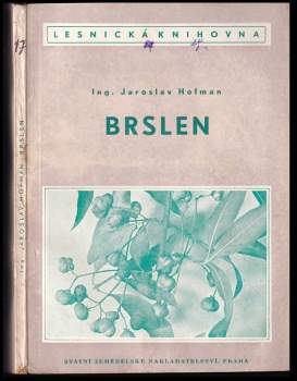 Brslen