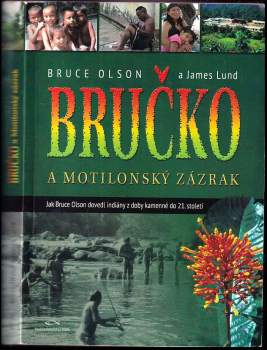 Bručko a Motilonský zázrak