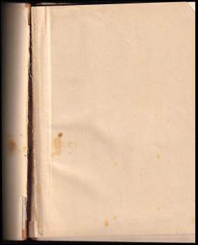 Frank Wenig: Brumla na cestách