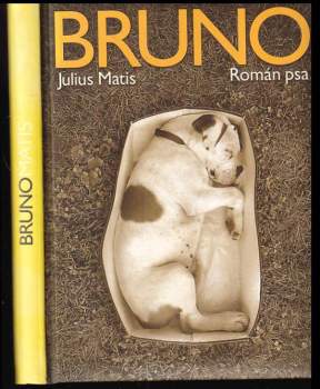 Bruno