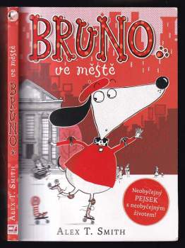 Bruno ve městě