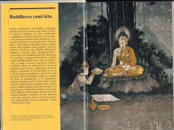Tom Lowenstein: Buddhova vize