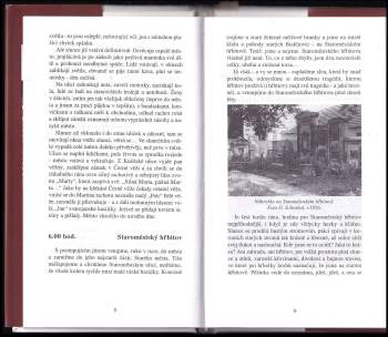 František Hobizal: Budějovické nálady