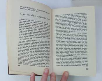Ferdinand Peroutka: Budování státu