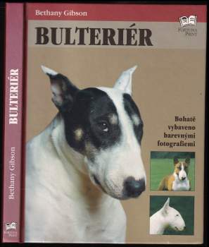 Bulteriér