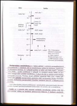 Václav Kubišta: Buněčné základy životních dějů