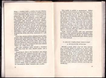 Günther Romkopf: Buničitá vlna