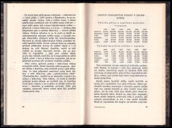 Günther Romkopf: Buničitá vlna
