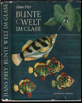 Bunte Welt im Glase