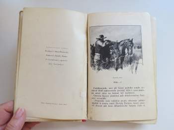 Louis Boussenard: Burští hrdinové