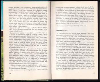 Vlastimil Vaněk: Bydlíme na zahradě