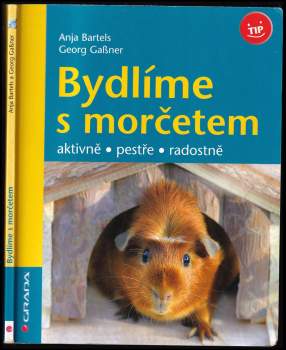Bydlíme s morčetem