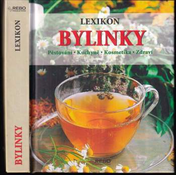 Bylinky