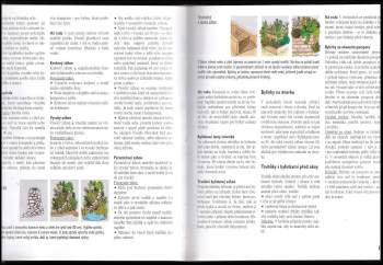 Christine Recht: Bylinky