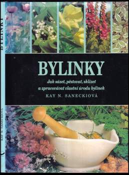 Bylinky