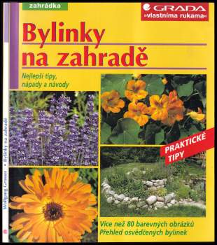 Bylinky na zahradě