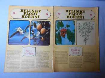 Bohumil Hlava: Bylinky, plody, koření