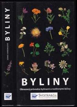 Byliny