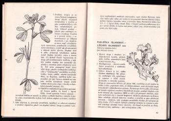 Josef Antonín Zentrich: Byliny v prevenci: Herbář + Receptář + Tabulky, literatura, rejstříky