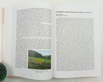 Ludvík Belcredi: Bystřec