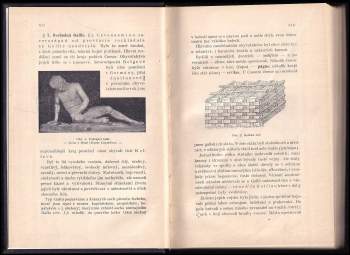 Gaius Iulius Caesar: C. Julii Caesaris commentarii de bello Gallico