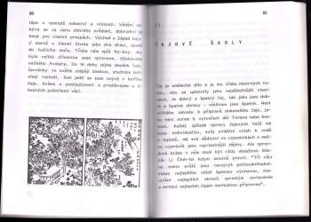 Kakuzō Okakura: Čado