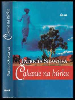 Patricia Shaw: Čakanie na búrku