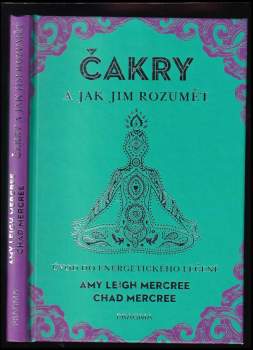 Čakry a jak jim rozumět : úvod do energetického léčení