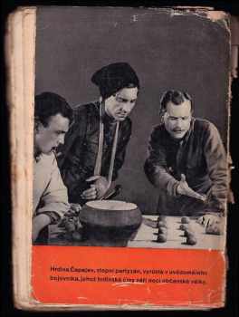 Dmitrij Andrejevič Furmanov: Čapajev