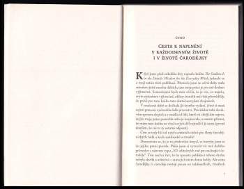 Deborah Blake: Čarodějnictví pro každý den