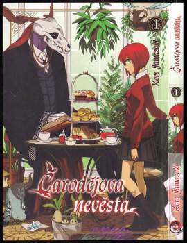 Čarodějova nevěsta