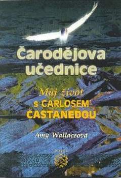 Čarodějova učednice