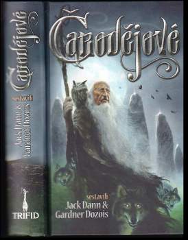 Čarodějové