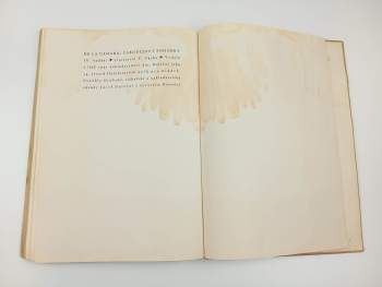 Felix Achilles de la Cámara: Čarodějovy pohádky